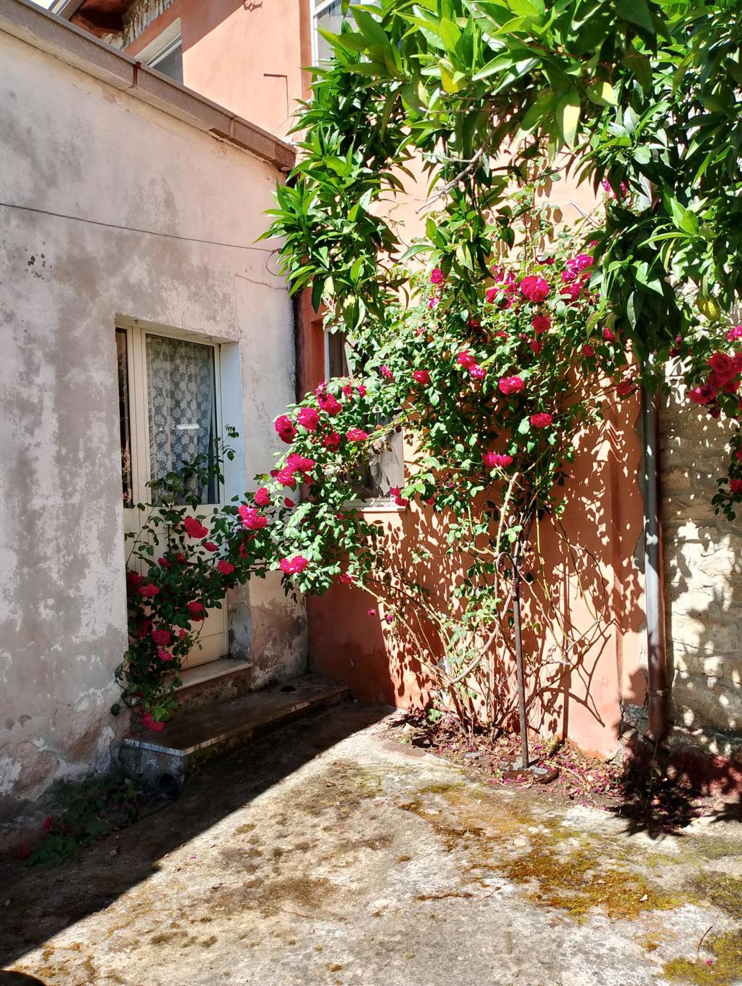 La Corte Degli Aranci Senorbi Dış mekan fotoğraf
